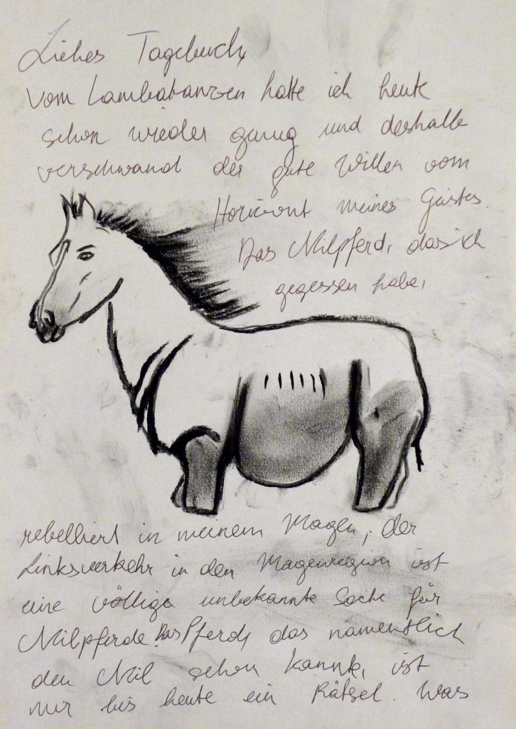 Pavels Illustration #19 Nilpferd
