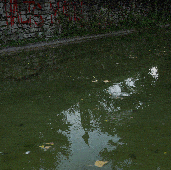 Freiheitsdenkmal zittert im Wasser des Ententeichs im Grazer Stadtpark