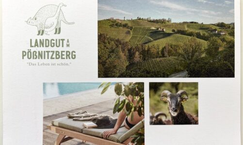 Postkarte aus… Pößnitzberg
